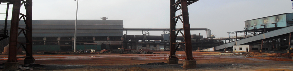 Plant buildings and conveyor structures